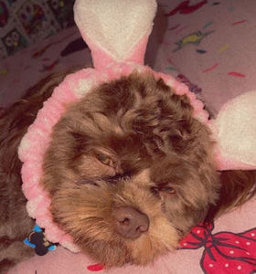 Meet your Posher, Karla